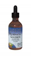 Echinacea Glycerite bottleshot